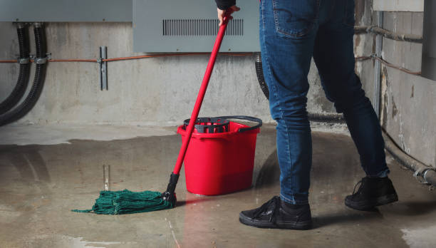 Best 24-hour water damage restoration  in Glendale, MS