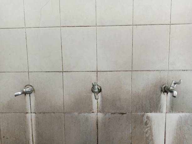 Best Water damage restoration cost  in Glendale, MS